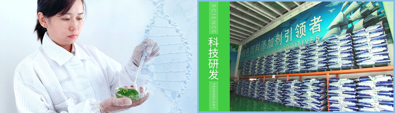 <a href=http://www.yiwudth.com>天津納爾生物科技有限公司</a>
